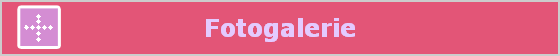 Fotogalerie